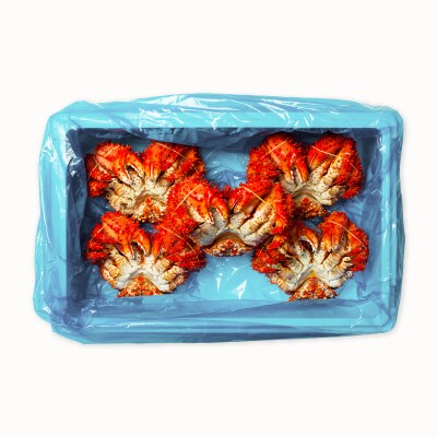 【北海道根室産】花咲かに800g×5尾(計4kg)[8月上旬以降発送] E-20006