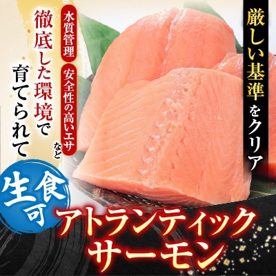 生食可アトランティックサーモン3～5P A-81023