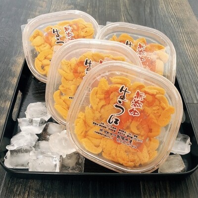 エゾバフンウニ塩水80～90g×4P[2026年1月下旬以降発送] D-91002