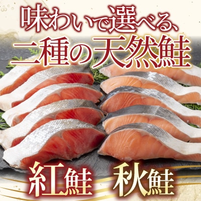 無添加甘塩天然鮭2種セット(計30切、約1.5kg) A-14001