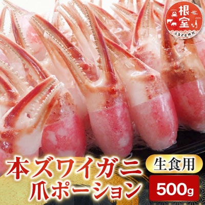 生食用本ズワイガニ爪ポーション500g A-14237