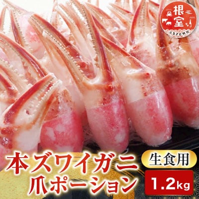 生食用本ズワイガニ爪ポーション1.2kg B-14088
