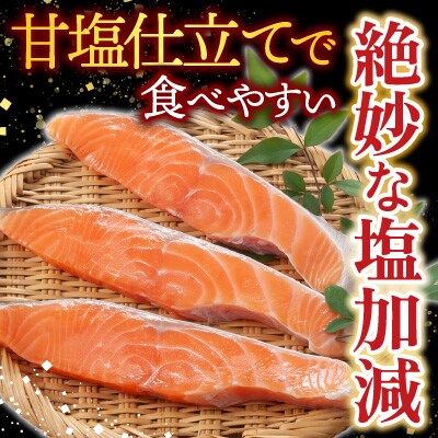無添加甘塩天然鮭2種セット(計30切、約1.5kg) A-28001