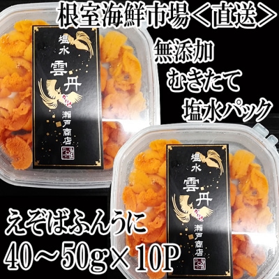 エゾバフンウニ(赤系)塩水パック40～50g×10P[2026年1月中旬以降発送] D-28038