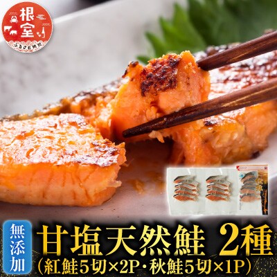 無添加甘塩天然鮭2種セット(計15切、約750g) G-28039