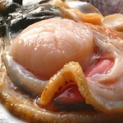 ＜12/21まで年内配送＞【北海道根室産】活ホタテ貝2kg詰合せ A-57030