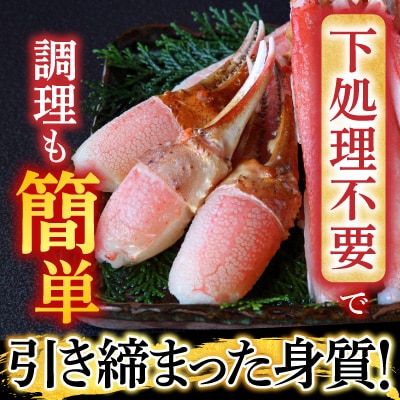 生食用本ズワイガニ爪ポーション500g A-28224