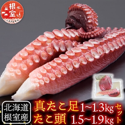 【北海道根室産】真たこ足1～1.3kg・たこ頭1.5～1.9kg F-19002