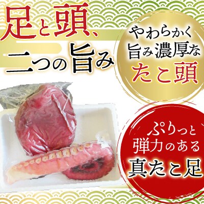 【北海道根室産】真たこ足1～1.3kg・たこ頭1.5～1.9kg F-19002