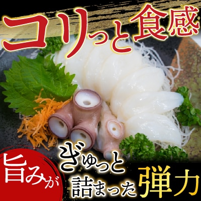 【北海道根室産】真たこ足1～1.3kg・たこ頭1.5～1.9kg F-19002