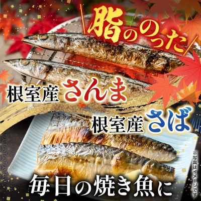 【北海道根室産】さんま・さば・唐揚げ用たこ・たこ刺身セット A-19014
