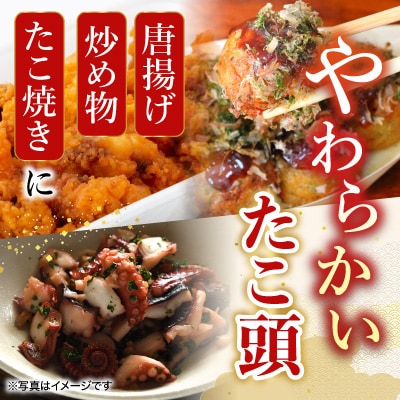 【北海道根室産】たこ足500g・たこ頭1～1.4kg B-19003