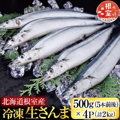 【北海道根室産】冷凍生さんま500g×4P(計2kg) A-19016