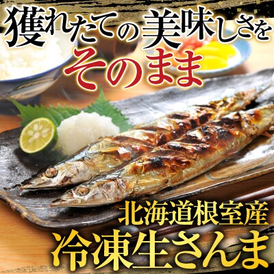 【北海道根室産】冷凍生さんま500g×4P(計2kg) A-19016