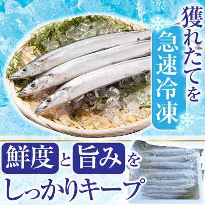 【北海道根室産】冷凍生さんま500g×4P(計2kg) A-19016