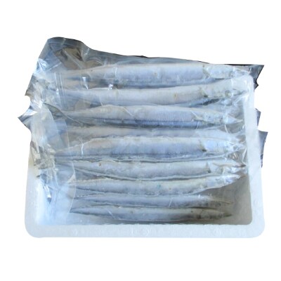 【北海道根室産】冷凍生さんま500g×4P(計2kg) A-19016