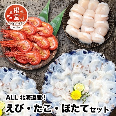 ＜12/17まで年内配送＞シマエビ400g・タコしゃぶ500g・ほたて300gセット B-24020