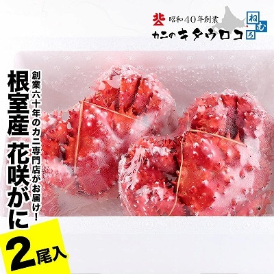 【北海道根室産】花咲がに550g～650g前後×2尾 B-25030
