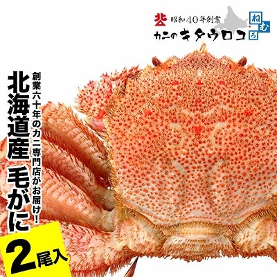 毛がに550g～650g前後×2尾 F-25014