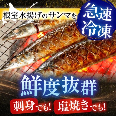 タラバガニむき身300g・冷凍さんま5尾×5P C-30080