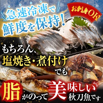 タラバガニむき身300g・冷凍さんま5尾×3P B-36048