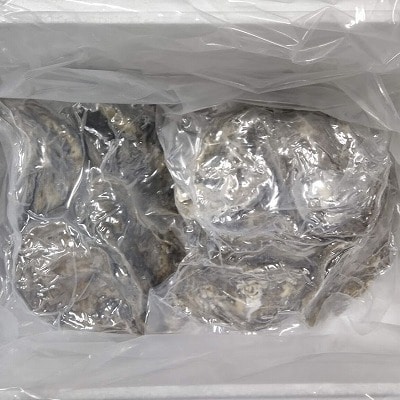 <12/21まで年内配送>殻付き牡蠣の酒蒸し10個入 A-57065