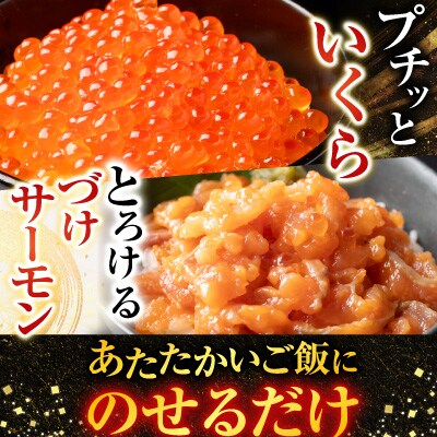 <鮭匠ふじい>いくら・サーモンづくし B-42016