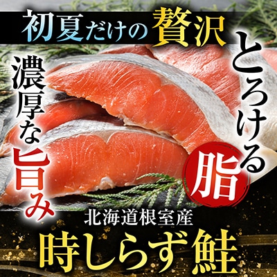 【北海道根室産】時しらず鮭600g・いくら醤油漬け50g×3P C-42094
