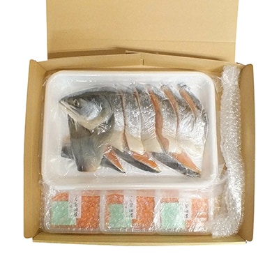 【北海道根室産】時しらず鮭600g・いくら醤油漬け50g×3P C-42094