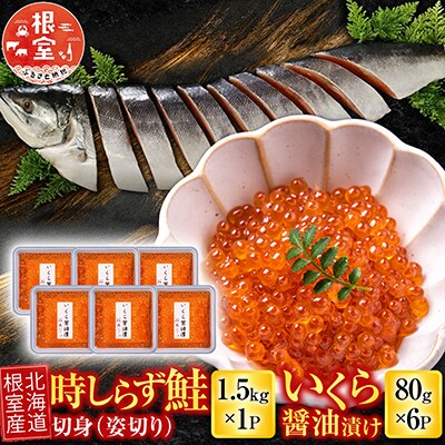 【北海道根室産】時しらず鮭1.5kg・いくら醤油漬80g×6P D-42067