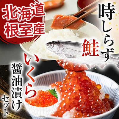 【北海道根室産】時しらず鮭1.5kg・いくら醤油漬80g×6P D-42067