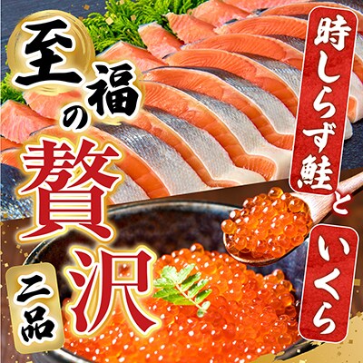 【北海道根室産】時しらず鮭1.5kg・いくら醤油漬け50g F-42013