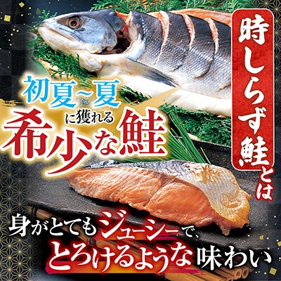【北海道根室産】時しらず鮭1.5kg・いくら醤油漬け50g F-42013
