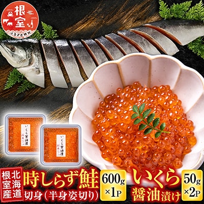 【北海道根室産】時しらず鮭600g・いくら醤油漬け50g×2P B-42106