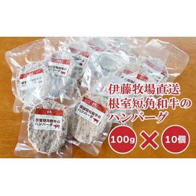 【北海道根室産】短角和牛のハンバーグ100g×10P A-13024
