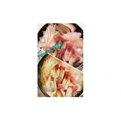 【北海道根室産】ボイルホッキ貝300g、帆立貝柱500g A-27009