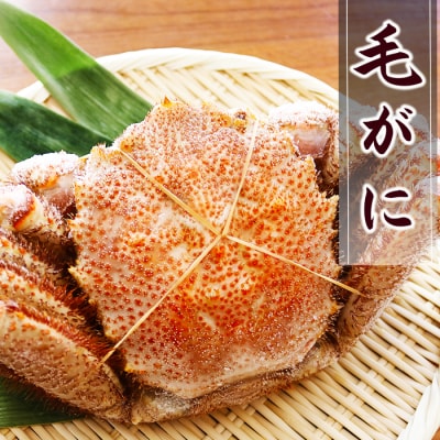 毛がに約500～600g×1尾 A-32045