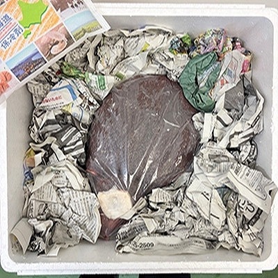 【北海道根室産】真ダコ頭1.5～1.7kg G-29001