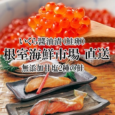 無添加天然甘塩紅鮭10切、秋鮭4切、いくら醤油漬け(鮭卵)70g×1P A-11087