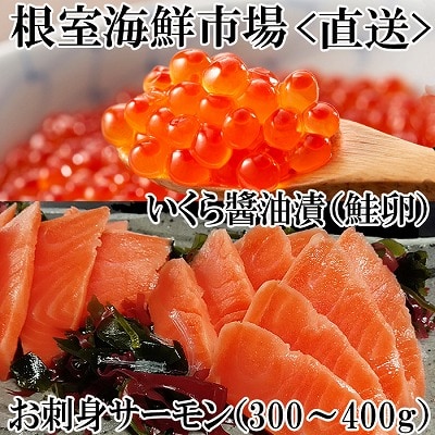 いくら醤油漬け70g×1P・刺身用トラウトサーモン(背)300～400g×1本 A-11209