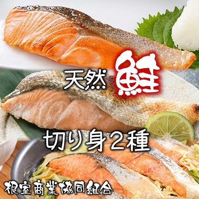 天然鮭切り身2種 計25切 A-18044