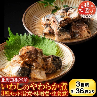 【北海道根室産】骨まで食べられる!いわしのやわらか煮3種セット B-09021