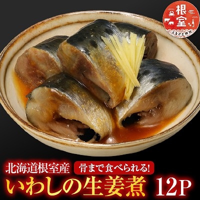 【北海道根室産】いわしの生姜煮12P G-09013