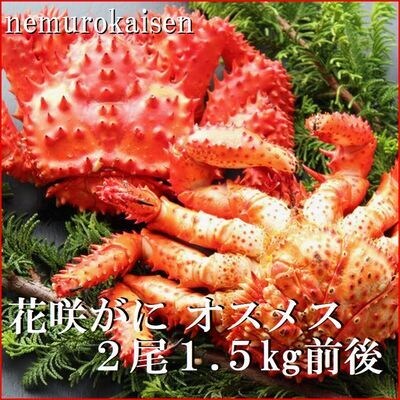 【北海道根室産】花咲ガニオスメス(内子入り)各1尾(計1.5kg前後) C-57062