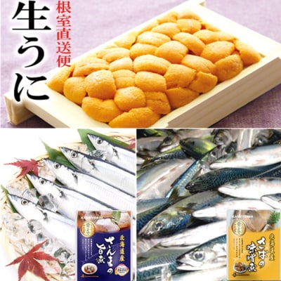 エゾバフンウニ約60g～70g・さんま旨煮・さば味噌煮[10月中旬以降発送] A-40020
