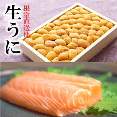 エゾバフンウニバラ150g×1折、お刺身サーモン[11月下旬以降発送] E-40030