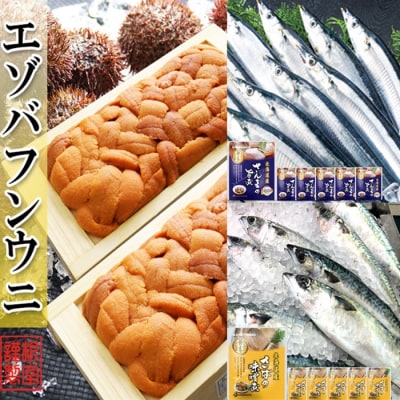 ウニ約60～70g×2折・さんま旨煮6P・さば味噌煮6P[10月下旬以降発送] B-71029
