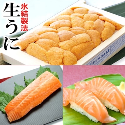 冷凍エゾバフンウニ約60～70g×1折(赤系)・お刺身サーモン[11月中旬以降発送] B-71032