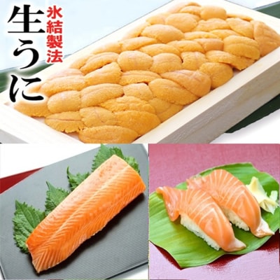 冷凍エゾバフンウニ約100g×1折(赤系)・サーモン[11月上旬以降発送] C-71031