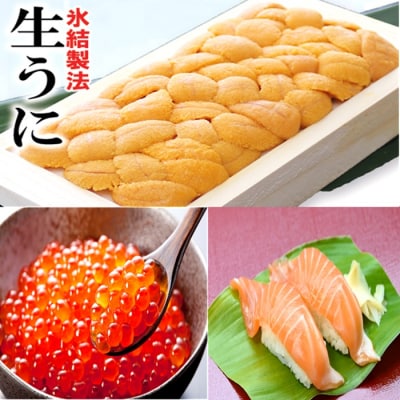冷凍エゾバフンウニ100g(赤系)、いくら(鱒卵)、サーモン[11月中旬以降発送] D-71067
